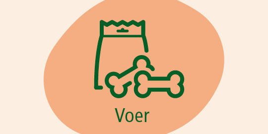 Voer