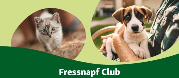 Zbliżenie na kociaka i szczeniaka reprezentujących Maxi Zoo Club na zielonym tle.