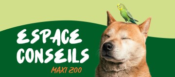 Chien content aux yeux fermés avec une perruche verte et jaune perchée sur sa tête, fond vert avec le texte « Espace Conseils Maxi Zoo ».
