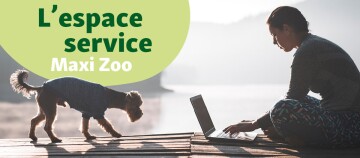 Femme travaillant sur un ordinateur portable sur un quai en bois au bord de l'eau, petit chien en pull à côté, espace service Maxi Zoo