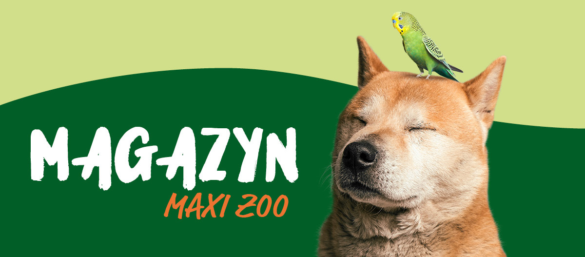 PL_KW02_Magazin_generisch_OS.Fullsize1