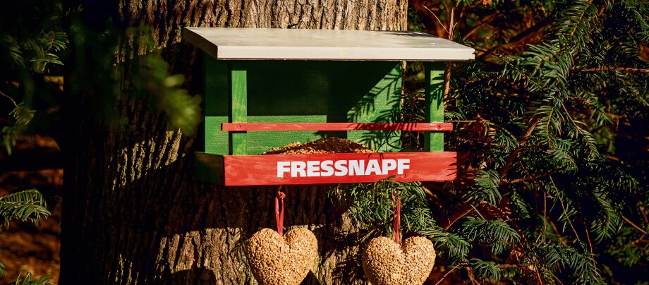 Fressnapf DIY Vogelhaus