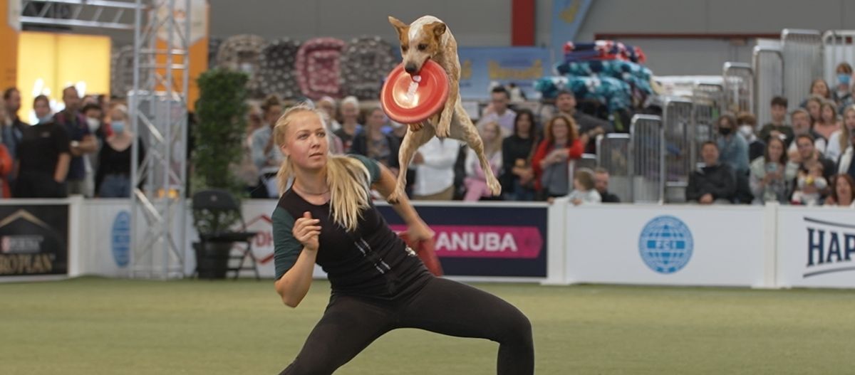 Hund und Katz Messe 2022 Agility Hund und Katz Messe 2022 Agility