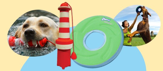 Hundespielzeug in Form eines Leuchtturms und eines grünen Wurfrings, Hund schwimmt mit rotem Spielzeug, Frau spielt im Freien mit springendem Hund, der eine Wurfscheibe fängt