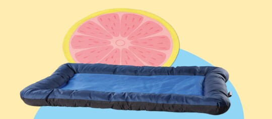 Blaues rechteckiges Haustierbett mit gepolsterten Rändern vor einem farbenfrohen Hintergrund mit einer Grapefruit-Illustration.