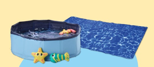 Kleiner blauer Haustierpool mit Wasserspielzeug und blauer Wassermattenunterlage für den Sommer