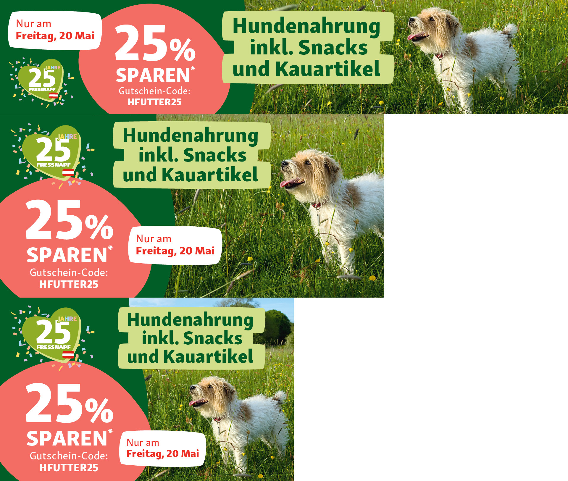FN_AT_OS_25-Prozent Hundenahrung_.PLP_1 25% Rabatt auf Hundenahrung