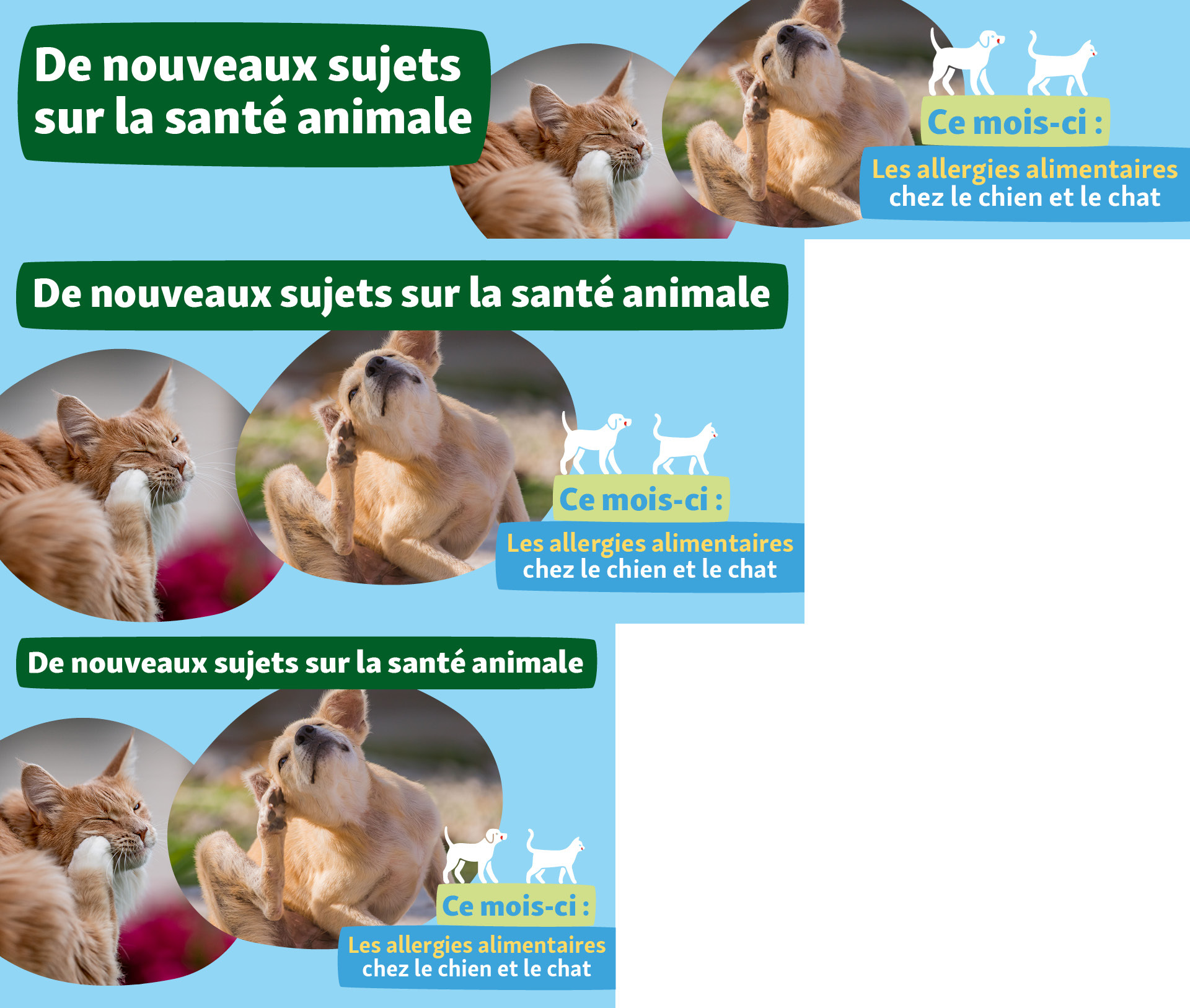 FR_KW16_VETTierischGesund_SG_OS.PLP_1-627d1c2b91f8c De nouveaux sujets sur la santé animale