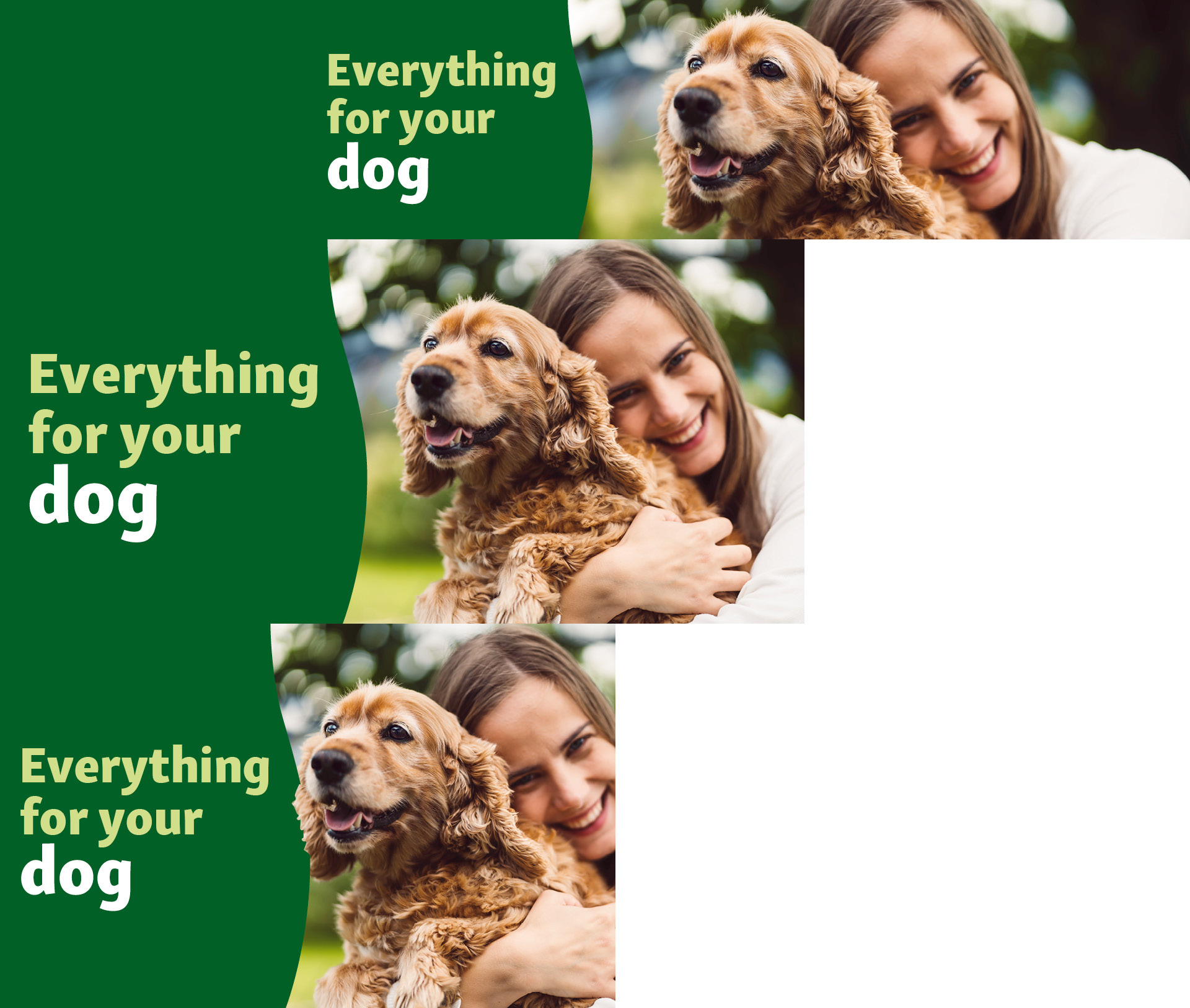Everything for your dog