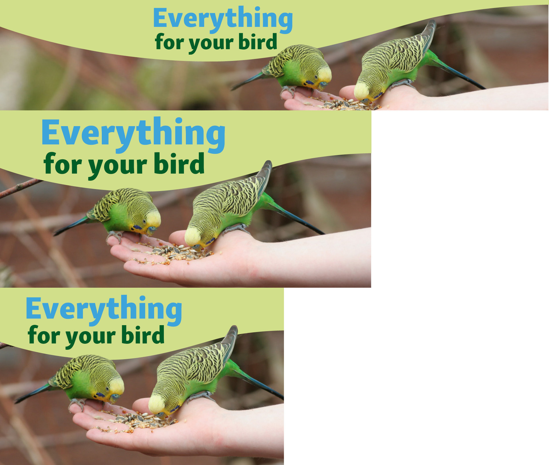 Everything for your bird