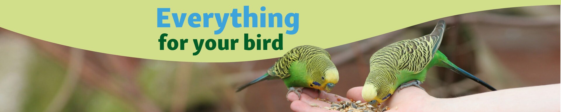 Everything for your bird