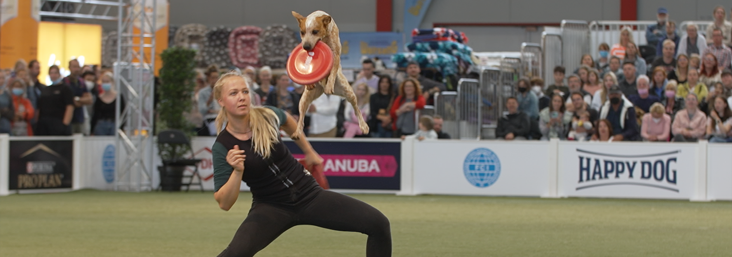 Hund und Katz Messe 2022 Agility Hund und Katz Messe 2022 Agility