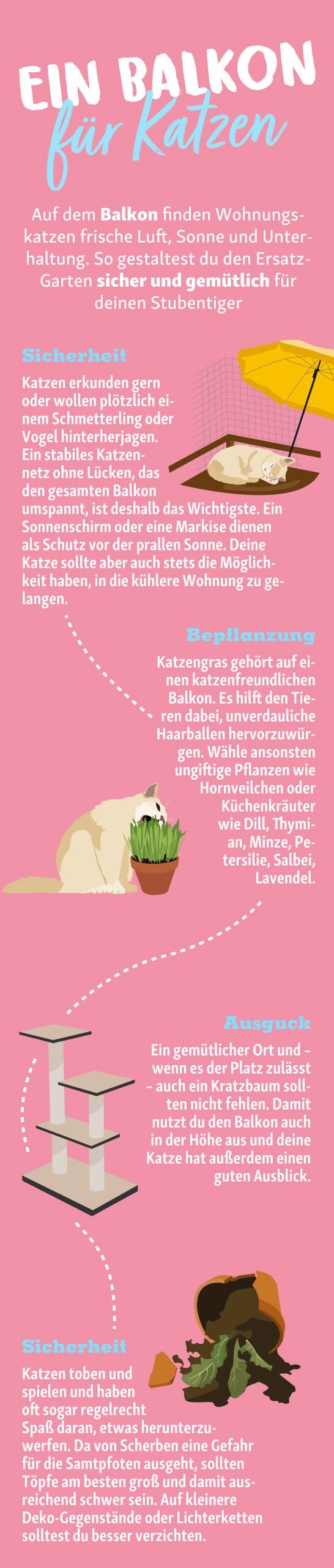 0422_APP_05_Katzenbalkon_Infografik Katzenbalkon Infografik