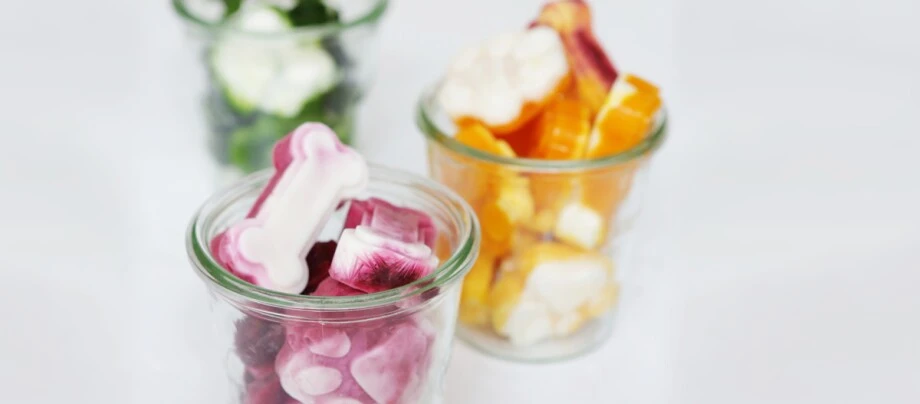 Bunte Hundeleckerlis in Form von Knochen und Pfoten in kleinen Glasbehältern auf weißem Hintergrund