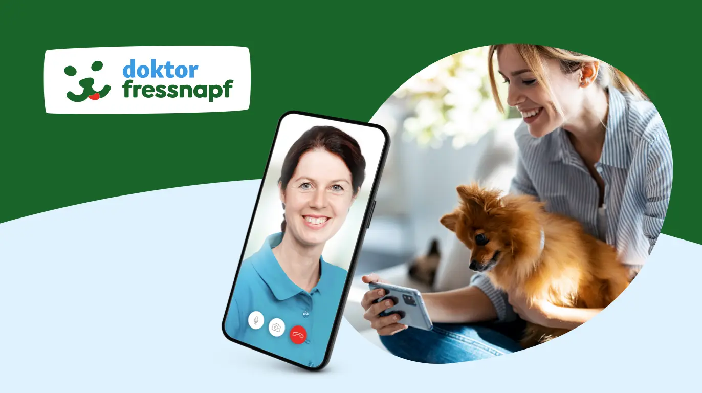 Frau hält einen kleinen Hund und führt eine Videoanruf-Konsultation mit einer Tierärztin über die 