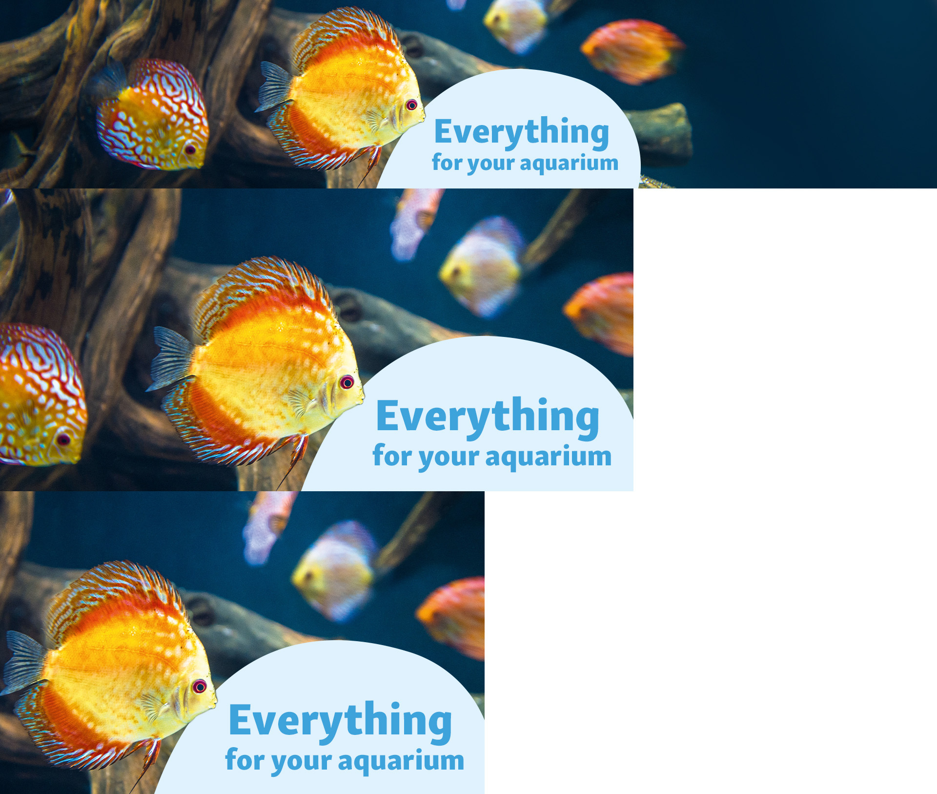 Everything for your aquarium