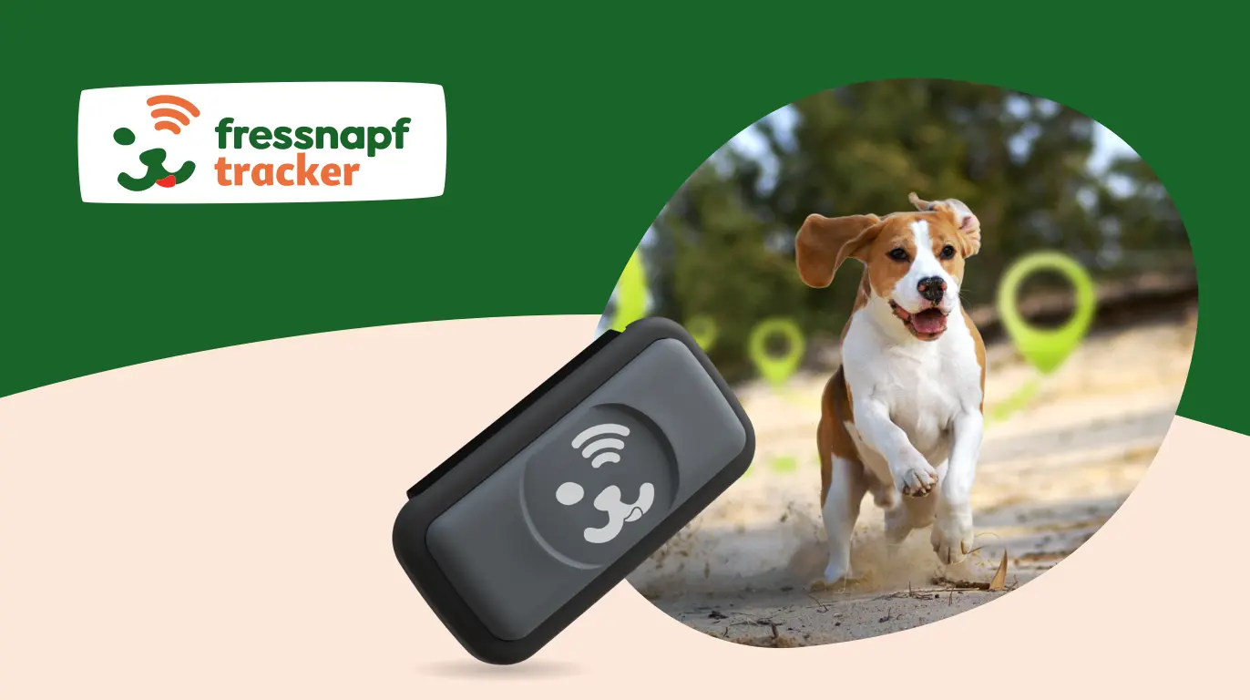 Fressnapf Tracker GPS-Hundetracker Gerät mit laufendem Hund im Freien und Standortmarkierungen