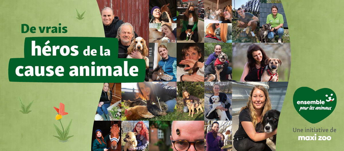FR_KW19_localheroes_LB_OS.Fullsize1 Collage de personnes avec différents animaux, vrais héros de la cause animale, une initiative de Maxi Zoo.