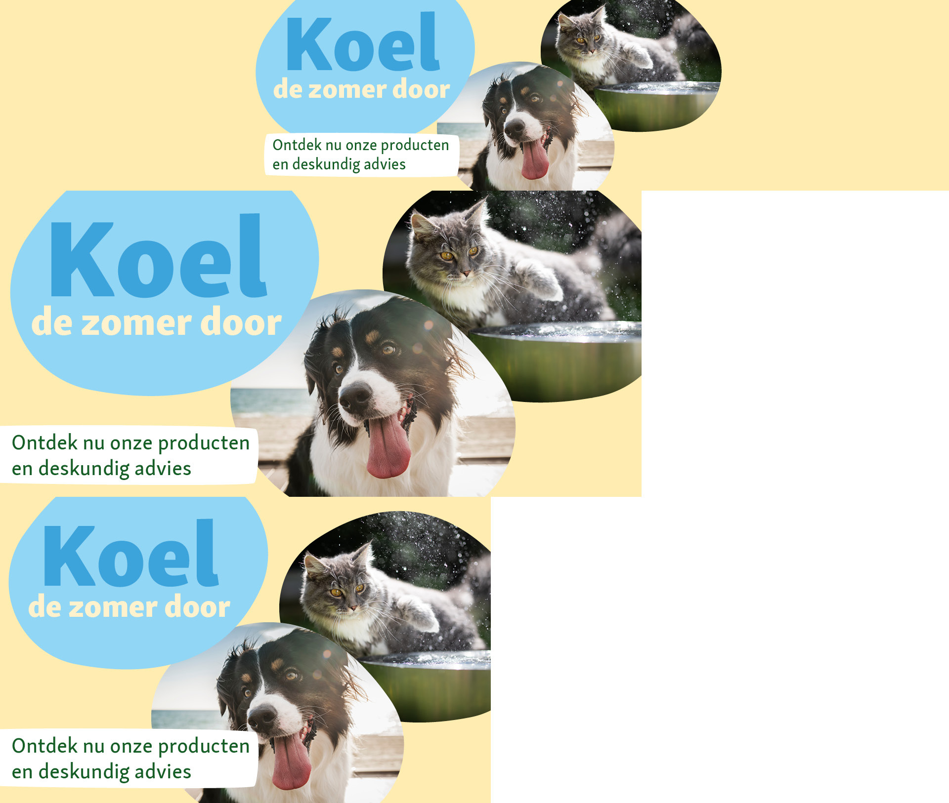 FR_KW24_Summerheat_SG_OS.PLP_6_1 Summerheat - Hund und Katze - Koel de zommer door