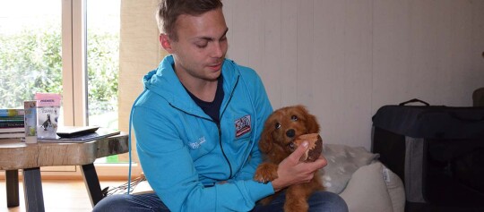 Junger Mann spielt mit braunem Hund im Wohnzimmer, hält Hundespielzeug, gemütliche haustierfreundliche Umgebung