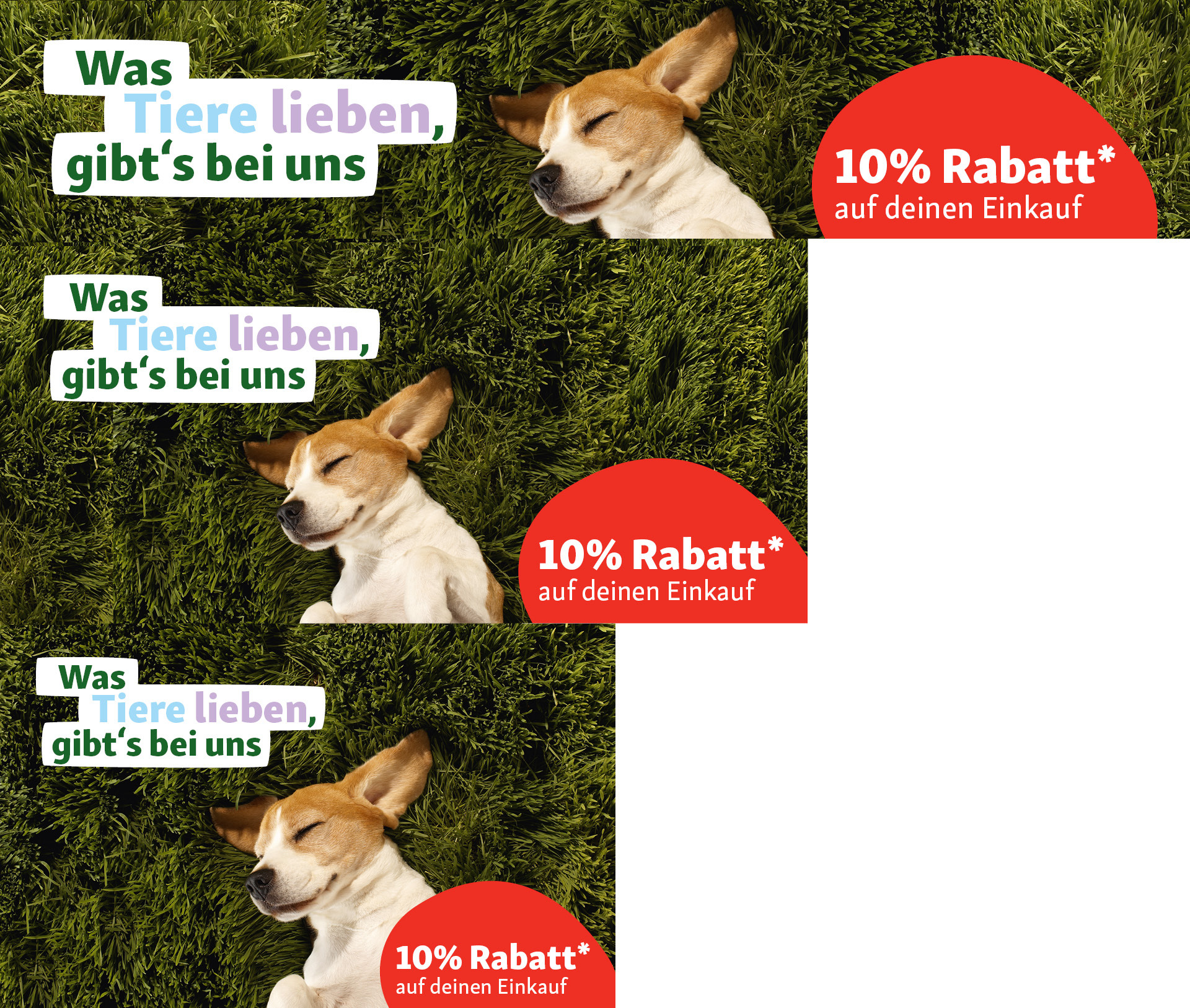 AT_KW29_CRM_Juli_OS (1) Österreich Angebot 10% auf alles Newsletter