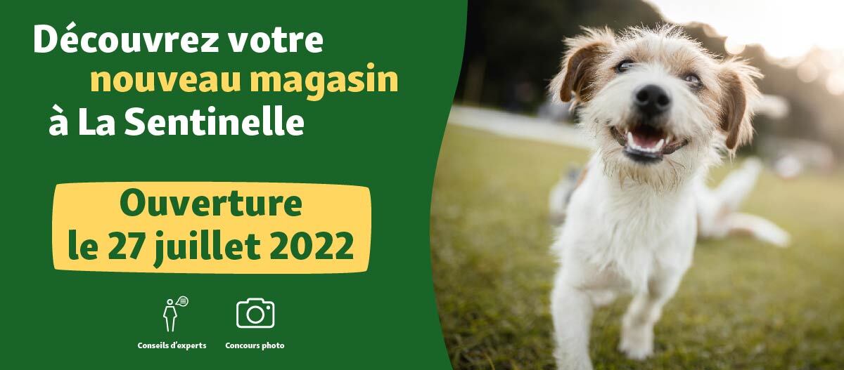 Banniere-web-sentinelle banner Opening FR La Sentinelle Valenciennes 27.07