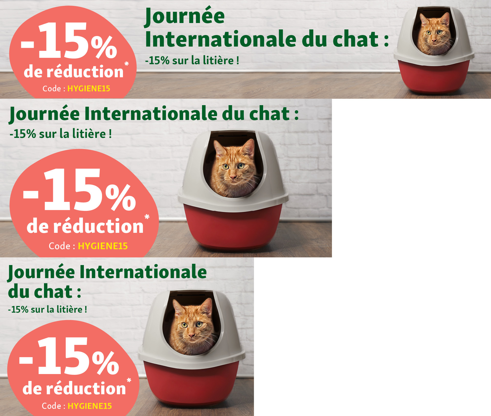 Chat roux dans une litière rouge et beige, 15% de réduction sur la litière pour la Journée Internationale du Chat, code promo HYGIENE15