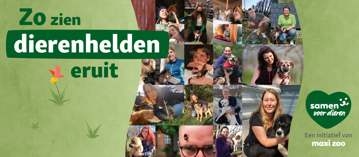 Collage van mensen met verschillende dieren, genaamd 