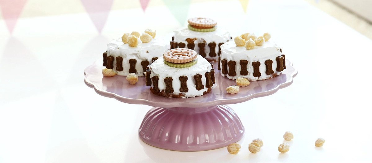 Kleine Hundekuchen mit weißem Zuckerguss und knochenförmigen Hundekeksen auf rosa Tortenständer, dekoriert mit runden Hundeleckerlis.