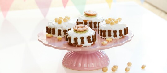Kleine runde Hundekuchen mit weißem Frosting, umgeben von knochenförmigen Keksen, dekoriert mit runden Keksen und Snacks auf einem rosa Kuchenständer.
