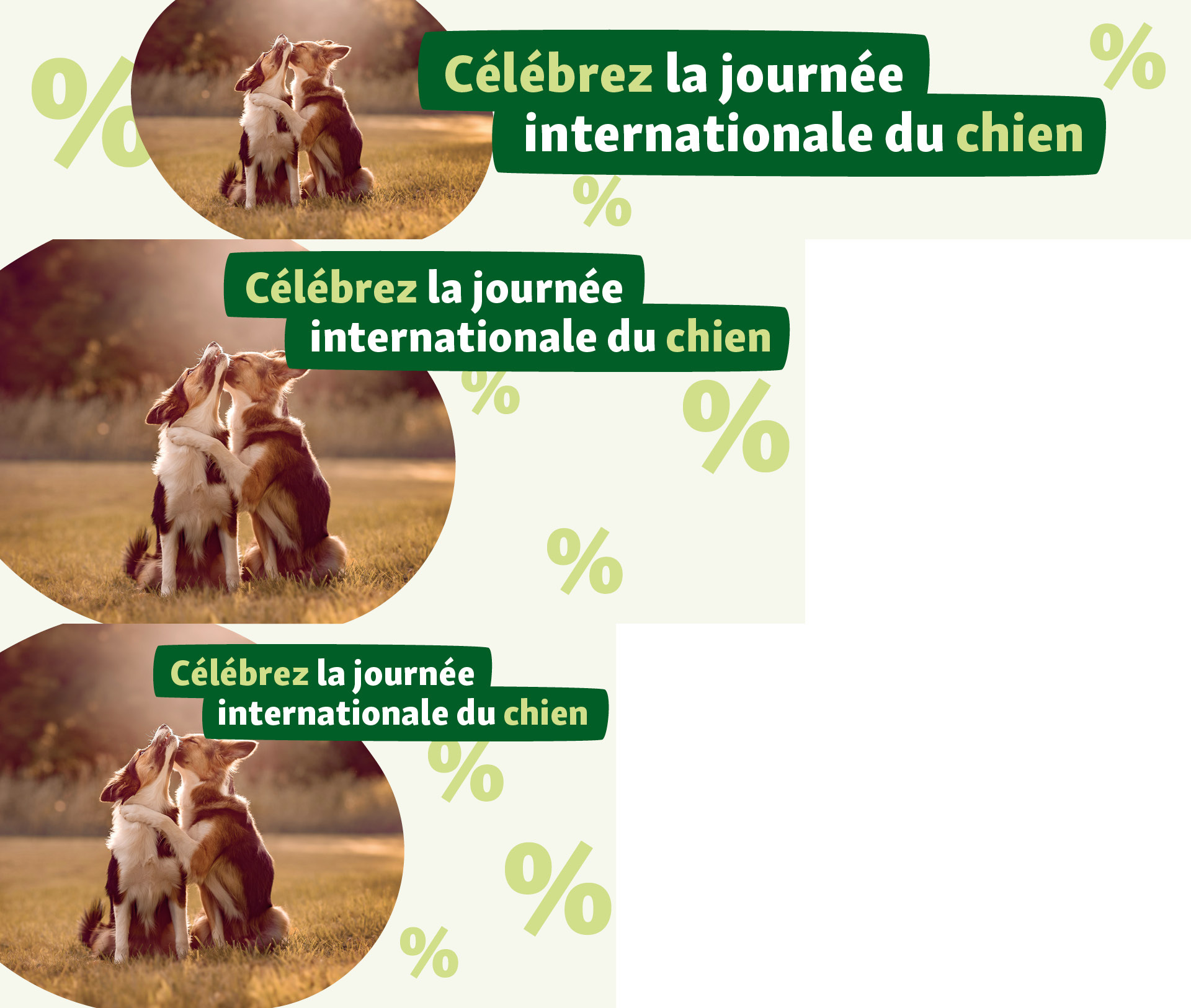 FN_795_BE_FR_DogDay_OS_.PLP_1 Journée mondiale du chien
