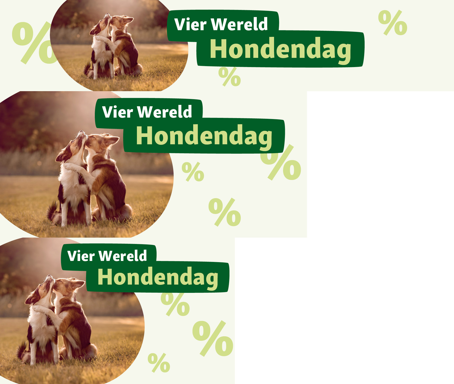 FN_795_BE_NL_DogDay_OS_.PLP_1 Wereld Hondendag