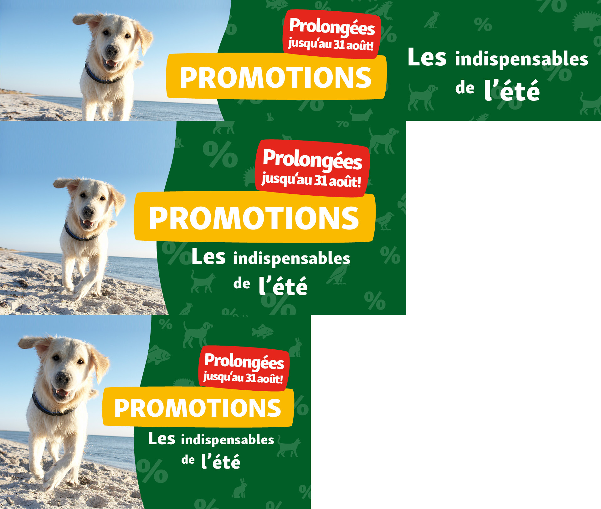 Promotions de l'été