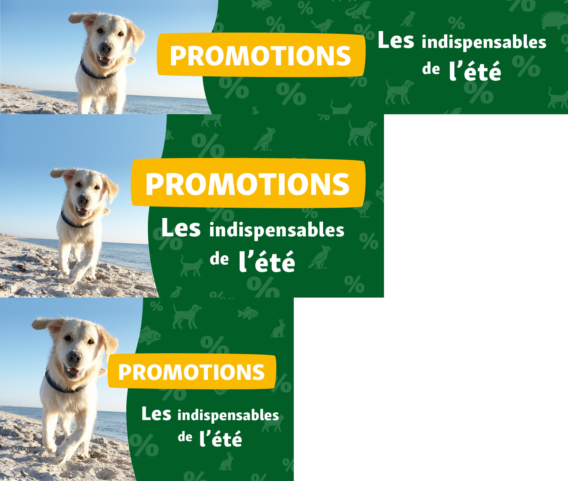 Chien golden retriever joyeux sur la plage avec promotions estivales pour accessoires pour animaux