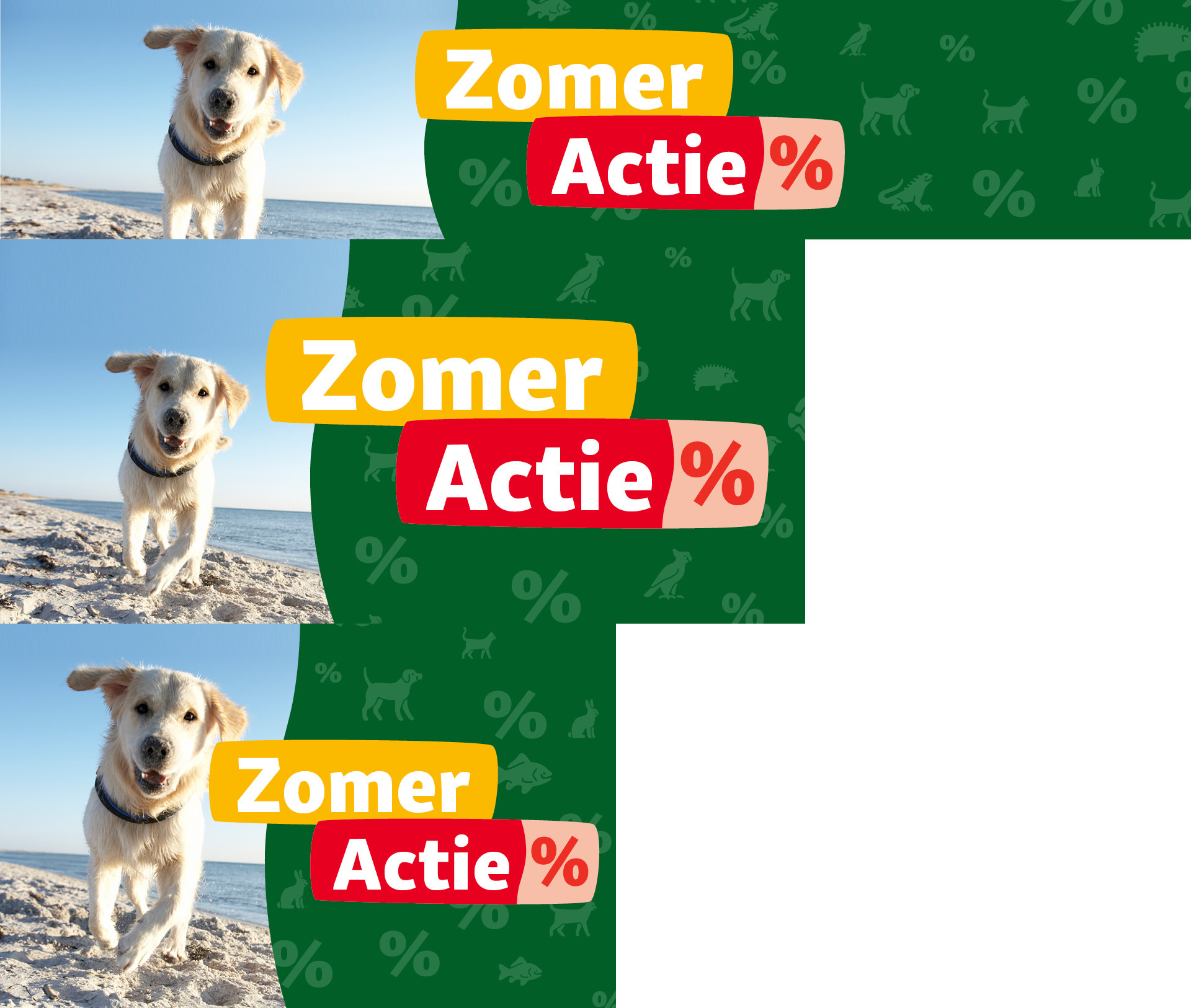 Blije golden retriever rent op het strand met zomeractie kortingspercentage