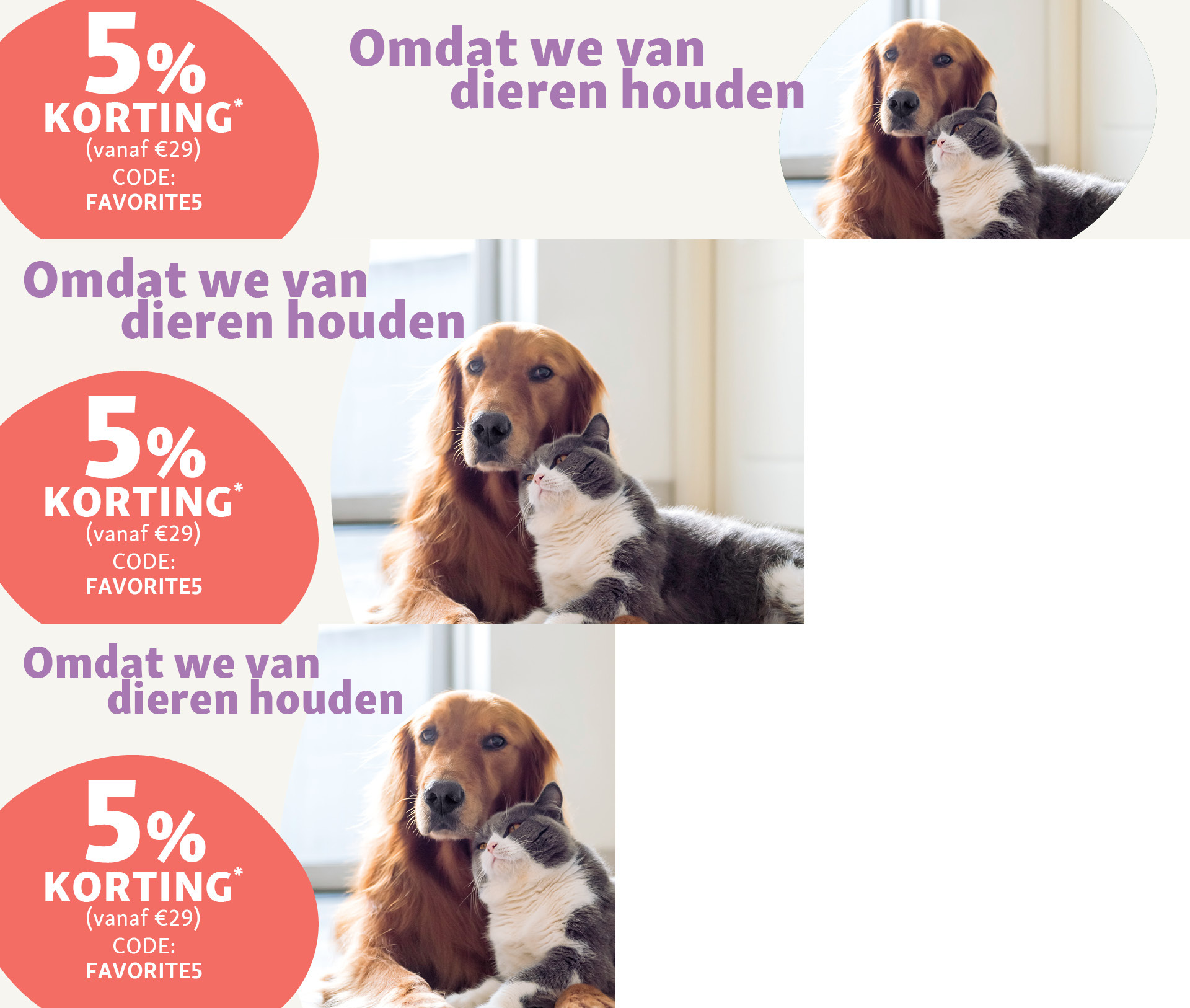 Golden retriever en grijs-witte kat zitten samen in een lichte kamer, 5% korting actie voor dierenliefhebbers met code FAVORITE5