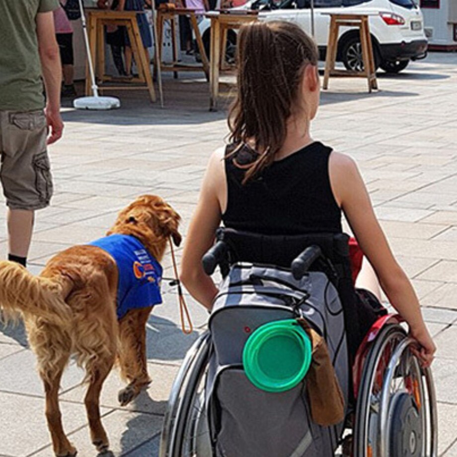 Ein Mädchen im Rollstuhl hat einen Hund an der Leine