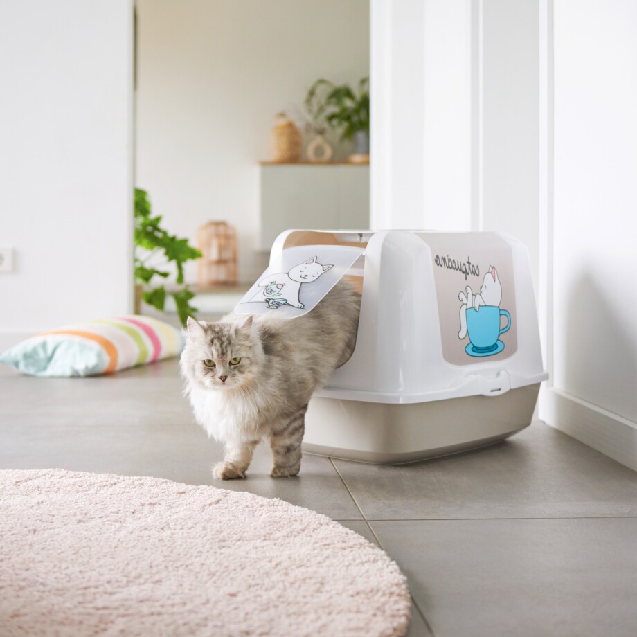 Katze_Stilles_Oertchen Eine Katze kommt aus der Katzentoilette