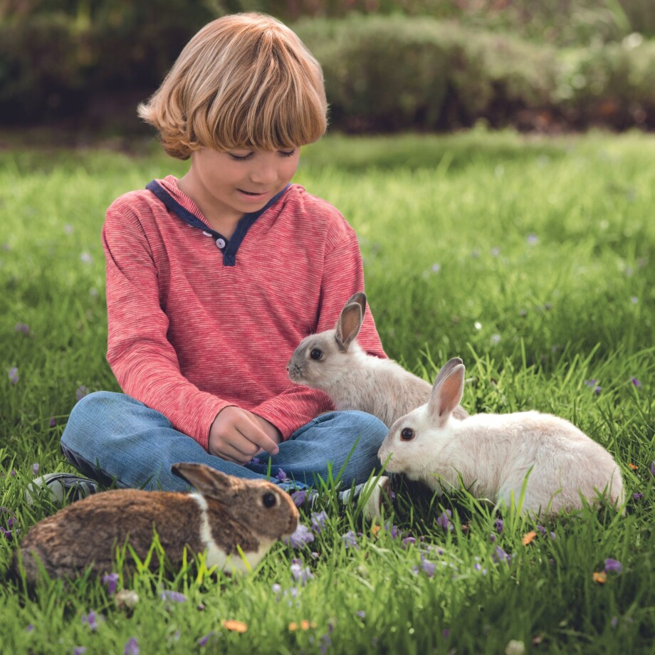 Kinder und Kaninchen