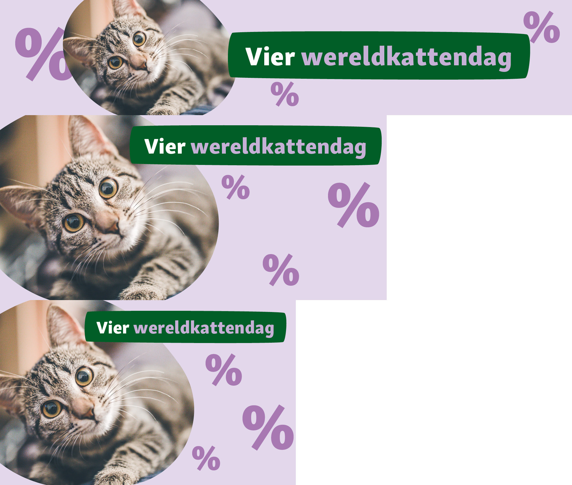 NL_Katzentag_OS_.PLP_1 Vier Weltkattendag