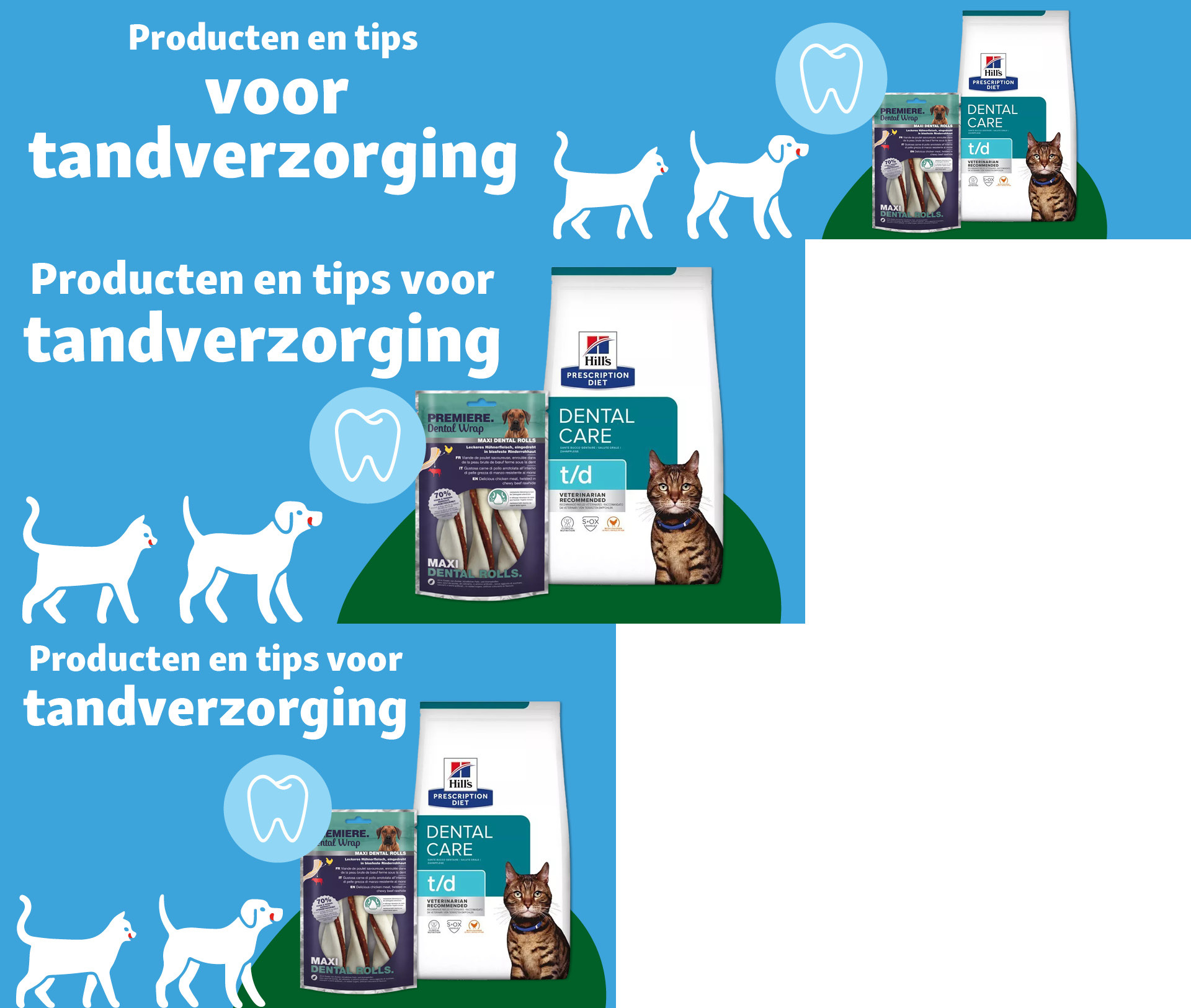 BE_KW36_TierischGesund_VETCampaign_SG_OS.PLP_1 Producten en tips voor tandverzorging