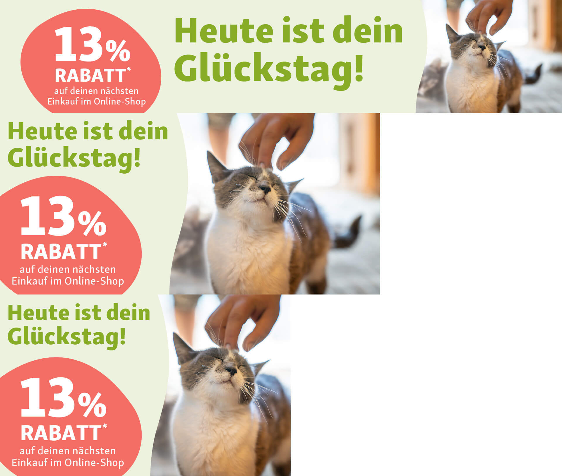 DE_KW35_Zweitkauf_13PRZ_Display_KH_OS.PLP3 13% Rabatt für deine Katze | Zweitkauf