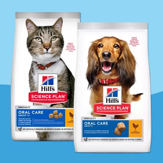Nourriture Hill's Science Plan pour chats et chiens, soin bucco-dentaire spécial, avec poulet, recommandée par les vétérinaires, sacs avec chat et chien