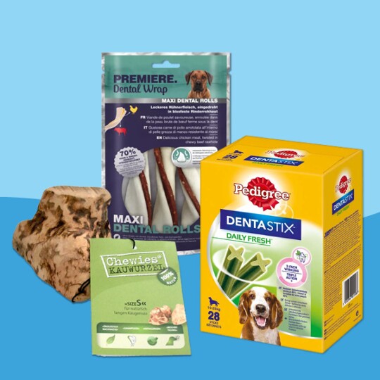 Différents produits de soins dentaires pour chiens, comprenant Premiere Dental Wrap Maxi Dental Rolls, Pedigree Dentastix Daily Fresh, Chewies Kauwurzel et un os à mâcher naturel sur fond bleu.
