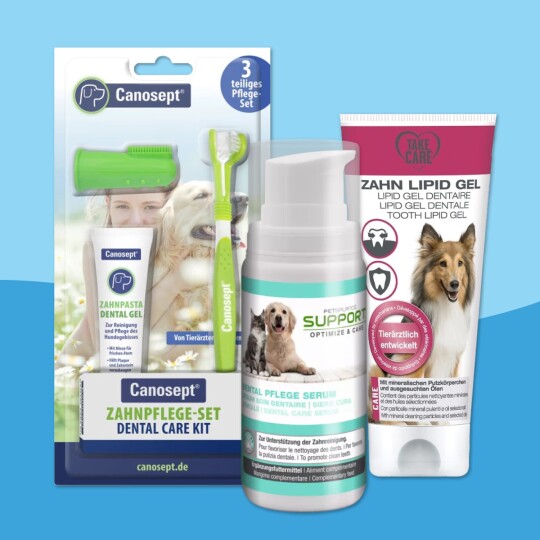 Kit de soins dentaires pour chiens avec dentifrice Canosept, brosses à dents et gel lipidique dentaire développé par des vétérinaires.