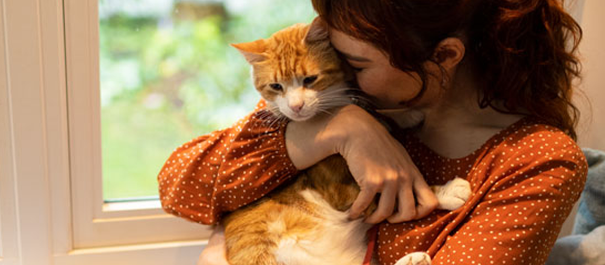 Equity_Science Frau mit rotem Haar umarmt liebevoll eine orange-weiße Katze neben einem Fenster mit grünem Hintergrund