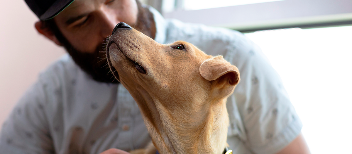 Equity_Shelter Nahaufnahme eines Mannes, der liebevoll mit seinem hellbraunen Hund interagiert und eine starke Bindung zwischen Mensch und Haustier zeigt.
