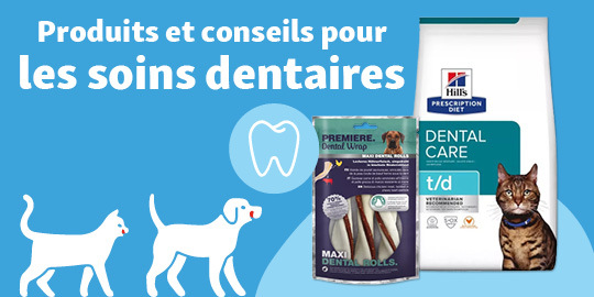 Animalerie En Ligne Produits Pour Animaux