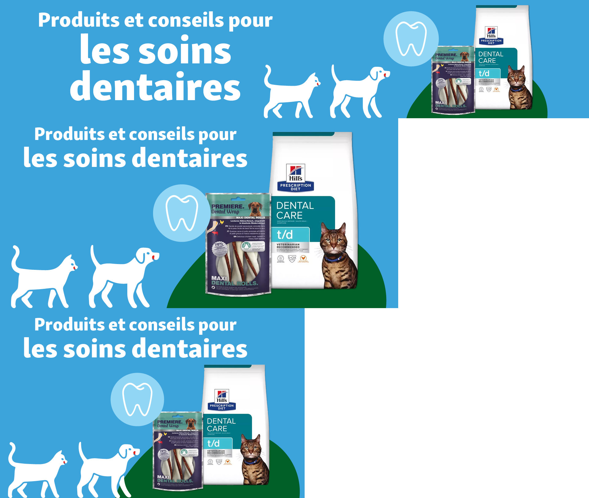FR_KW36_TierischGesund_VETCampaign_SG_OS.PLP_1 Produits et conseils pour les soins dentaires
