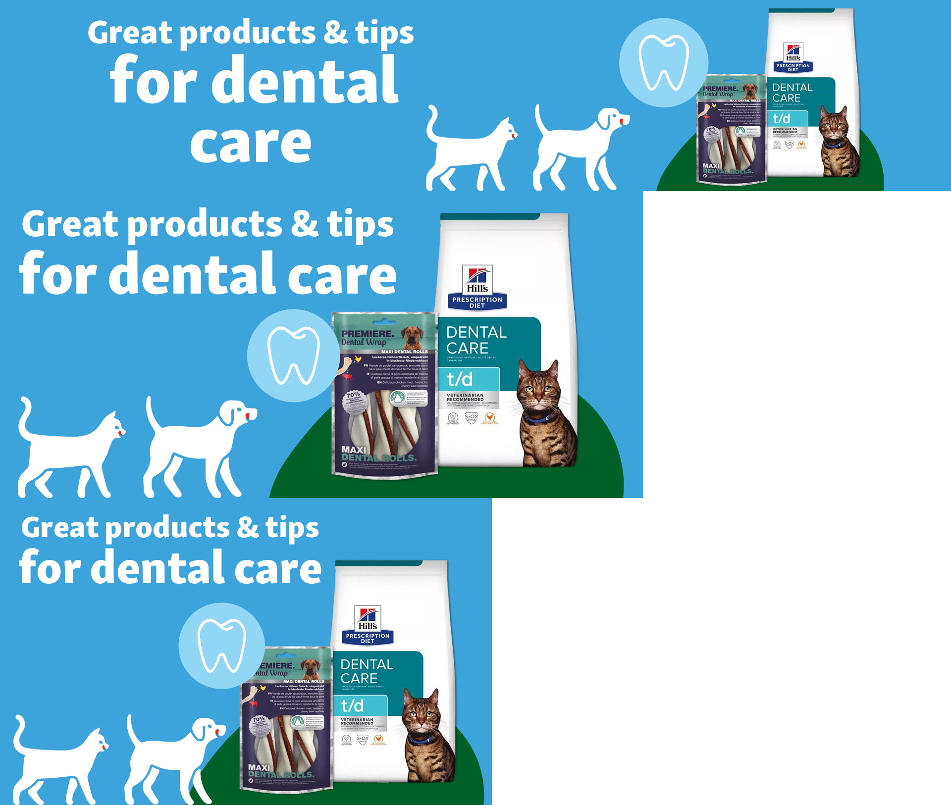 IE_KW36_TierischGesund_VETCampaign_SG_OS.PLP_1 Great products& tips for dental care